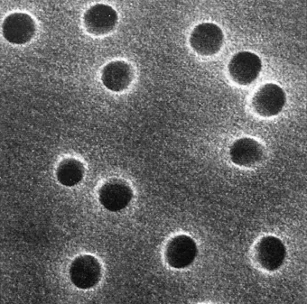 アイソポア・メンブレンフィルタ　ＴＣＴＰ０２５００ KN33140807