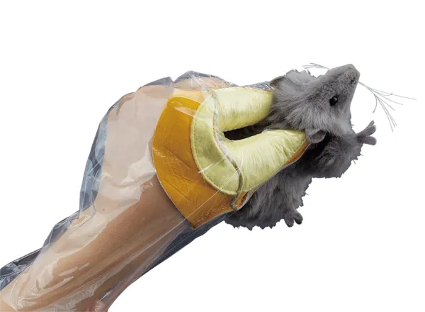 マウス保定用グローブ(カマレナイーネ)　L KN33190384