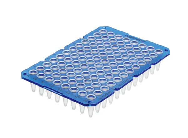 ツインテクPCRプレート96スカートレス 0030 133.382　20枚 KN34110255