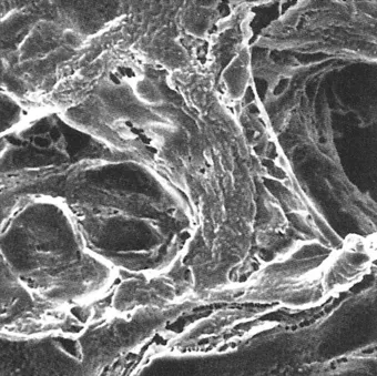 マイテックスメンブレン　ＬＣＷＰ０２５００ KN37710135